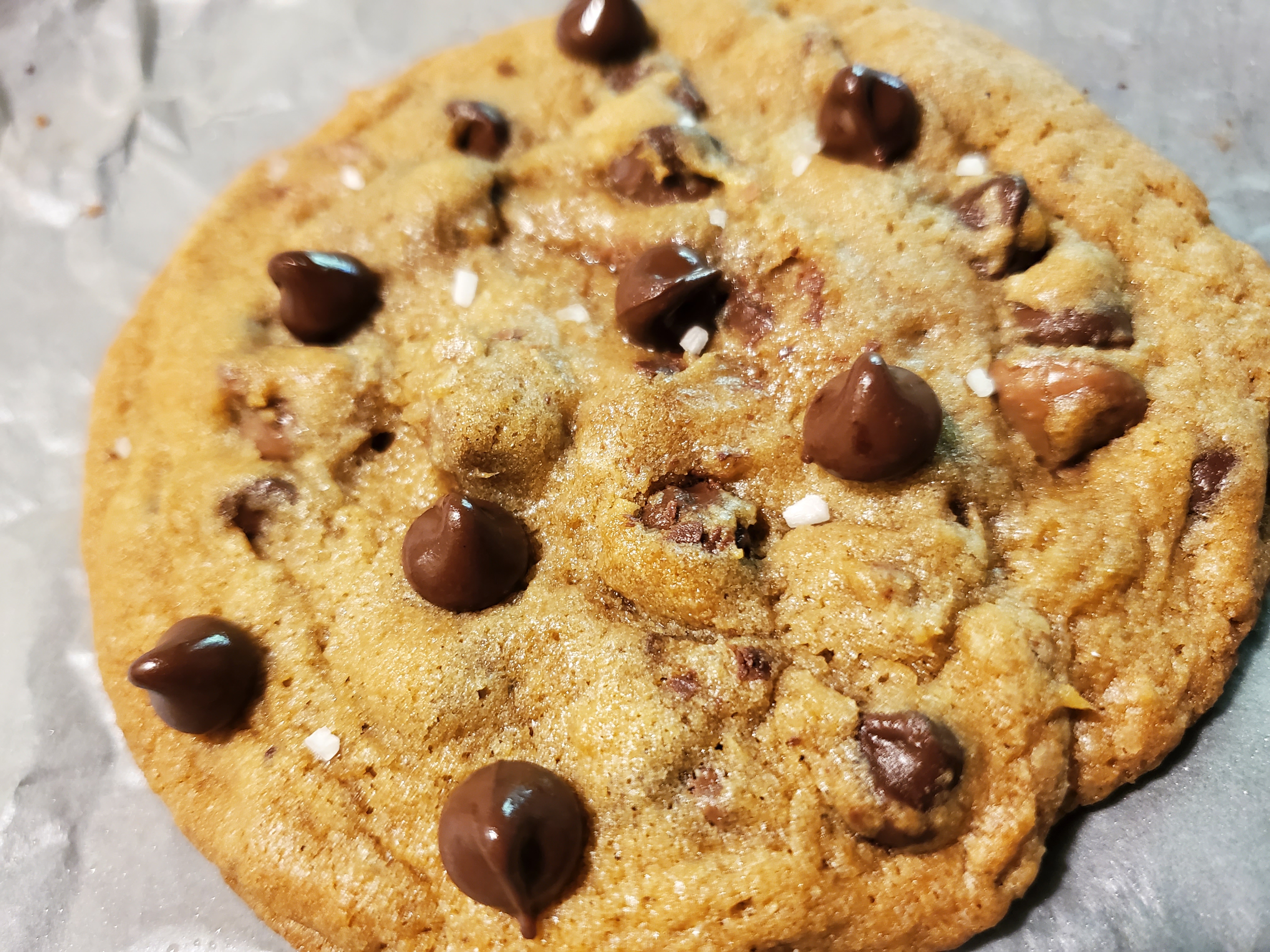 Chocolate chip cookie